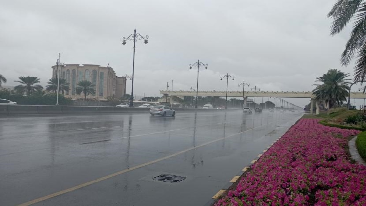 المديرية العامة للأرصاد الجوية