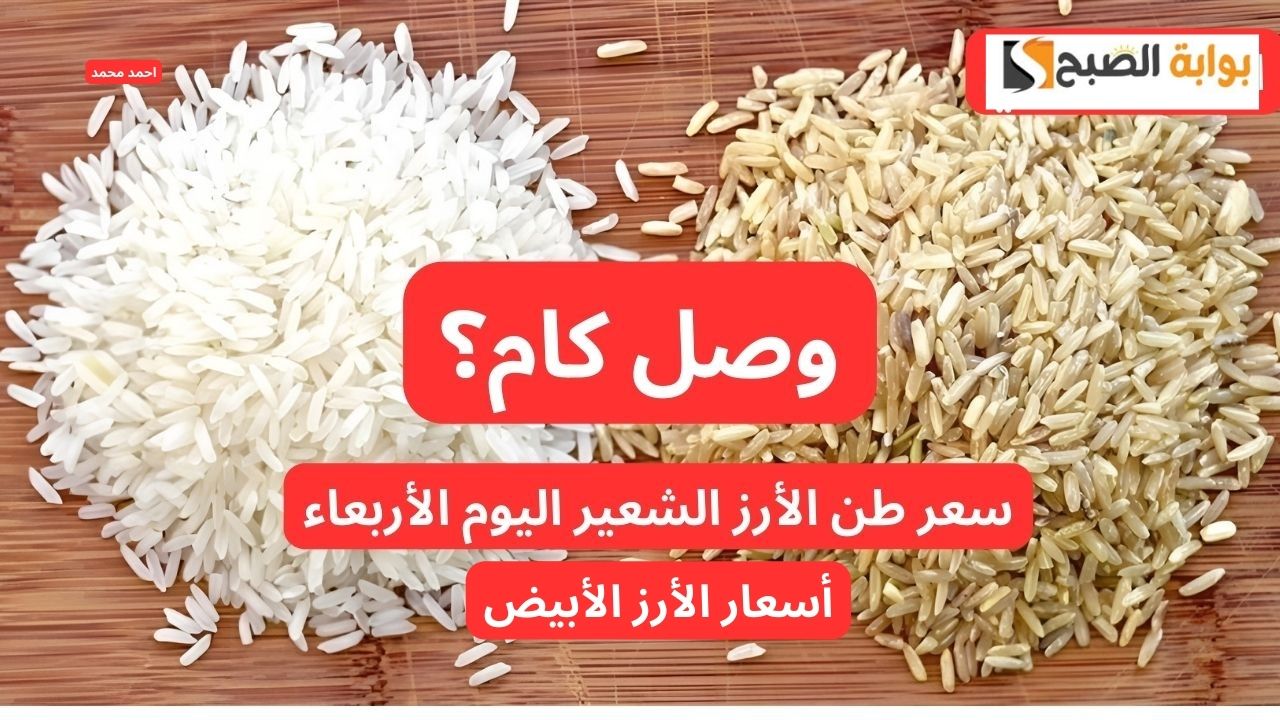 انخفاض سعر طن الأرز الشعير اليوم الأربعاء 20 نوفمبر 2024 في التعاملات
