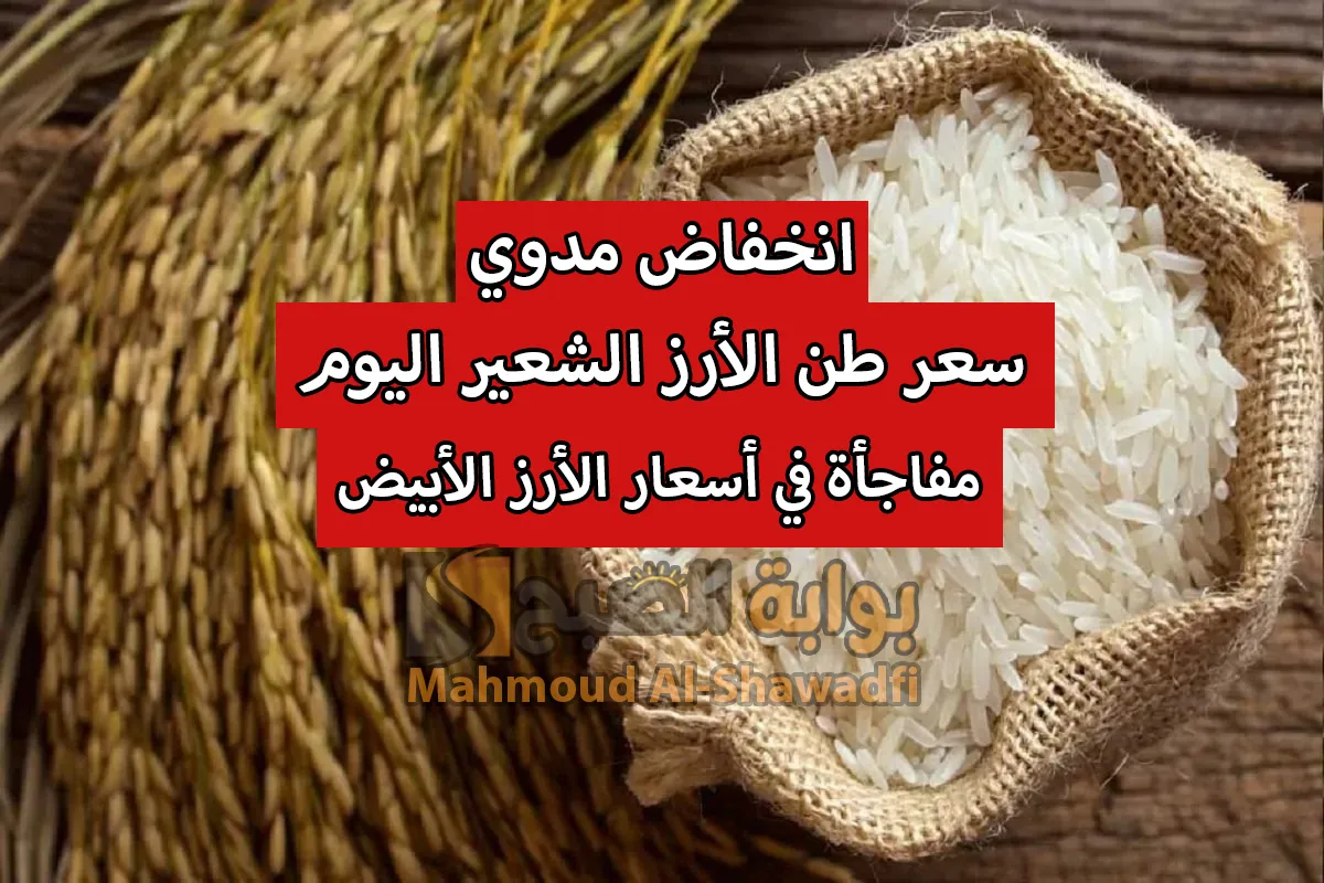 انخفاض مدوي.. سعر طن الأرز الشعير اليوم عريض ورفيع الحبة ومفاجأة في أسعار الأرز الأبيض