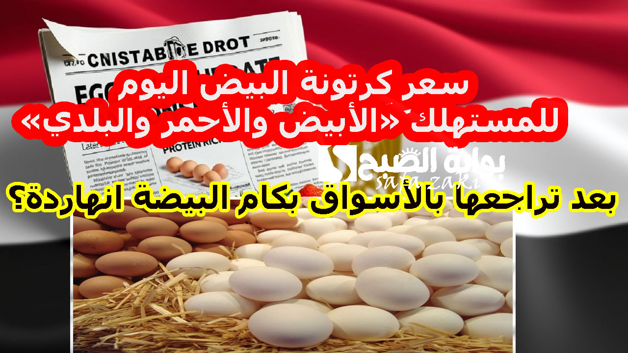 سعر كرتونة البيض اليوم للمستهلك «الأبيض والأحمر والبلدي»