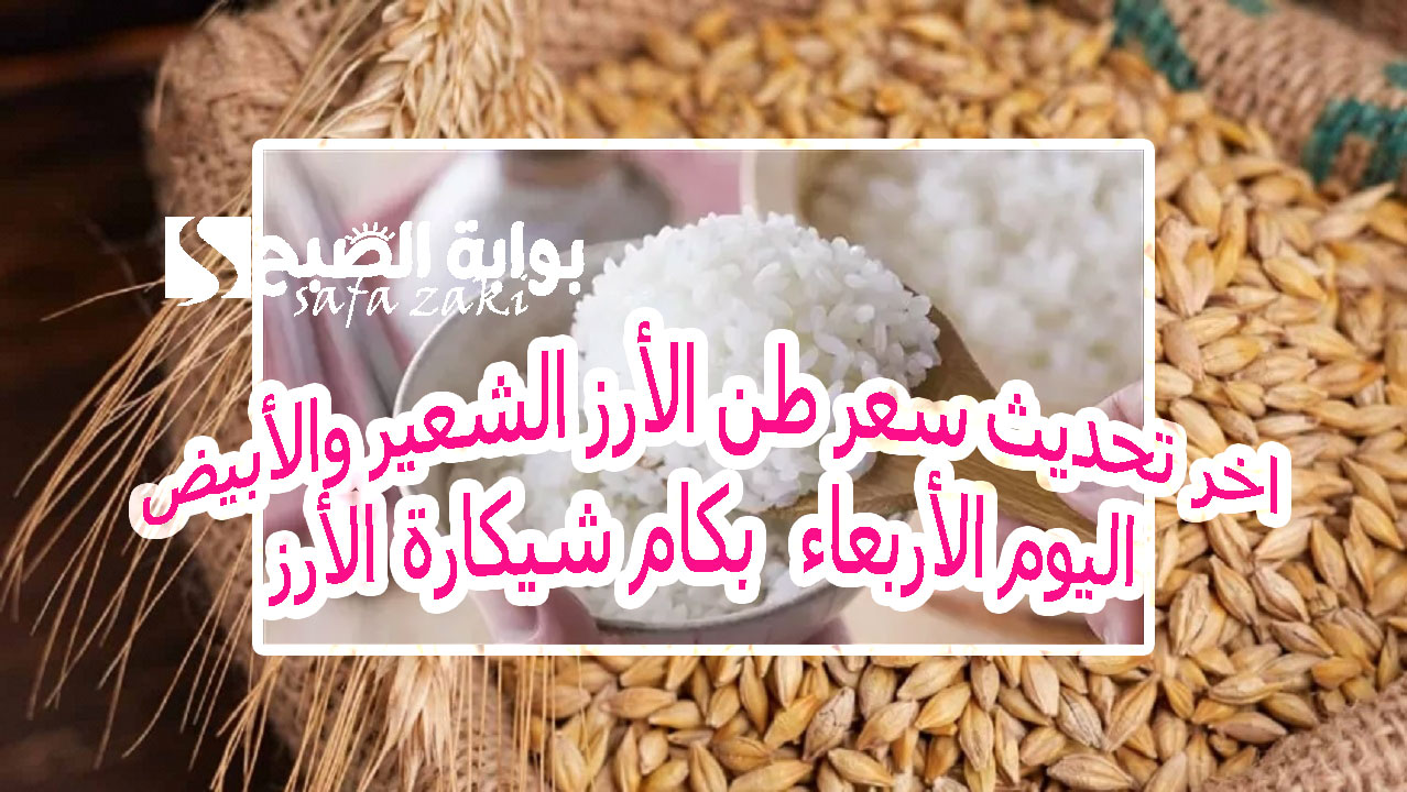 اخر تحديث سعر طن الأرز الشعير والأبيض اليوم 
