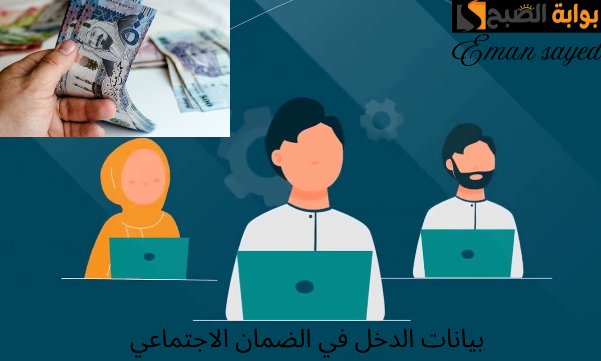 بيانات الدخل في الضمان الاجتماعي