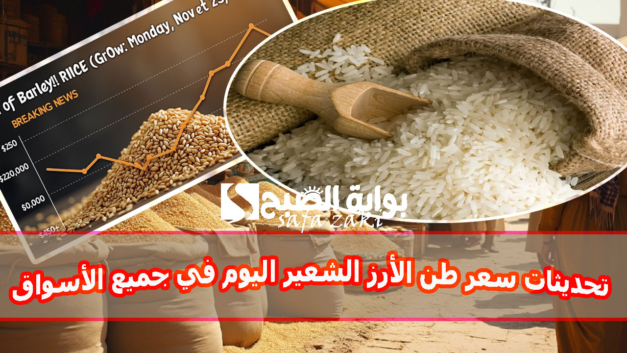 تحديثات سعر طن الأرز الشعير اليوم الاثنين 25 نوفمبر 2024 في جميع الأسواق