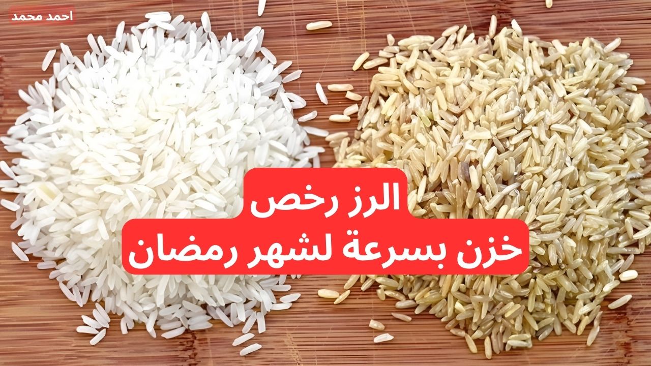 "تراجع حاد في أسعار الأرز الشعير اليوم".. سعر طن الأرز الشعير اليوم الجمعة 29-11-2024 في الأسواق
