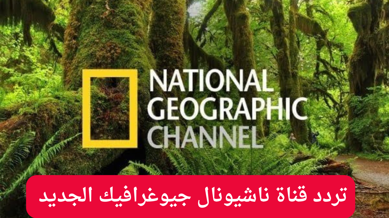 تردد قناة ناشيونال جيوغرافيك 2024 على نايل سات وعرب سات لمتابعة عالم الحيوانات والطبيعة