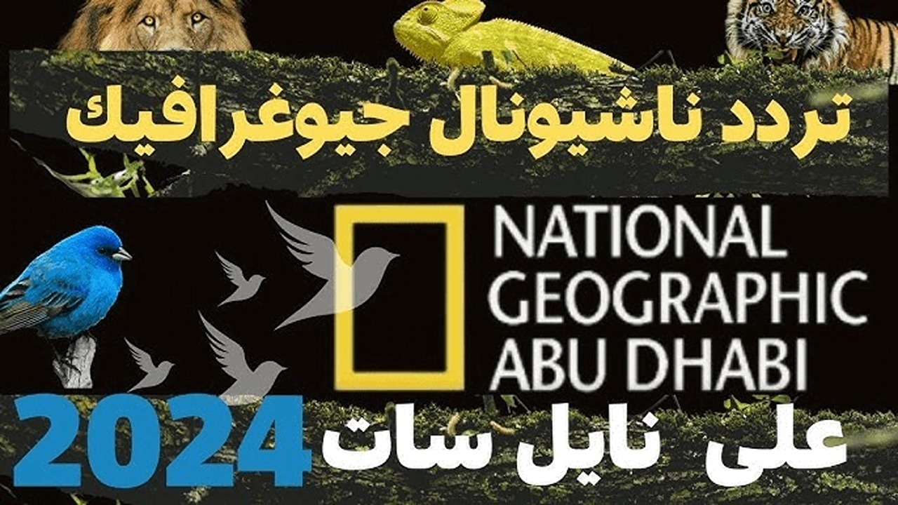 تردد قناة ناشيونال جيوغرافيك نايل سات 2024 وتابع أفضل البرامج الوثائقية