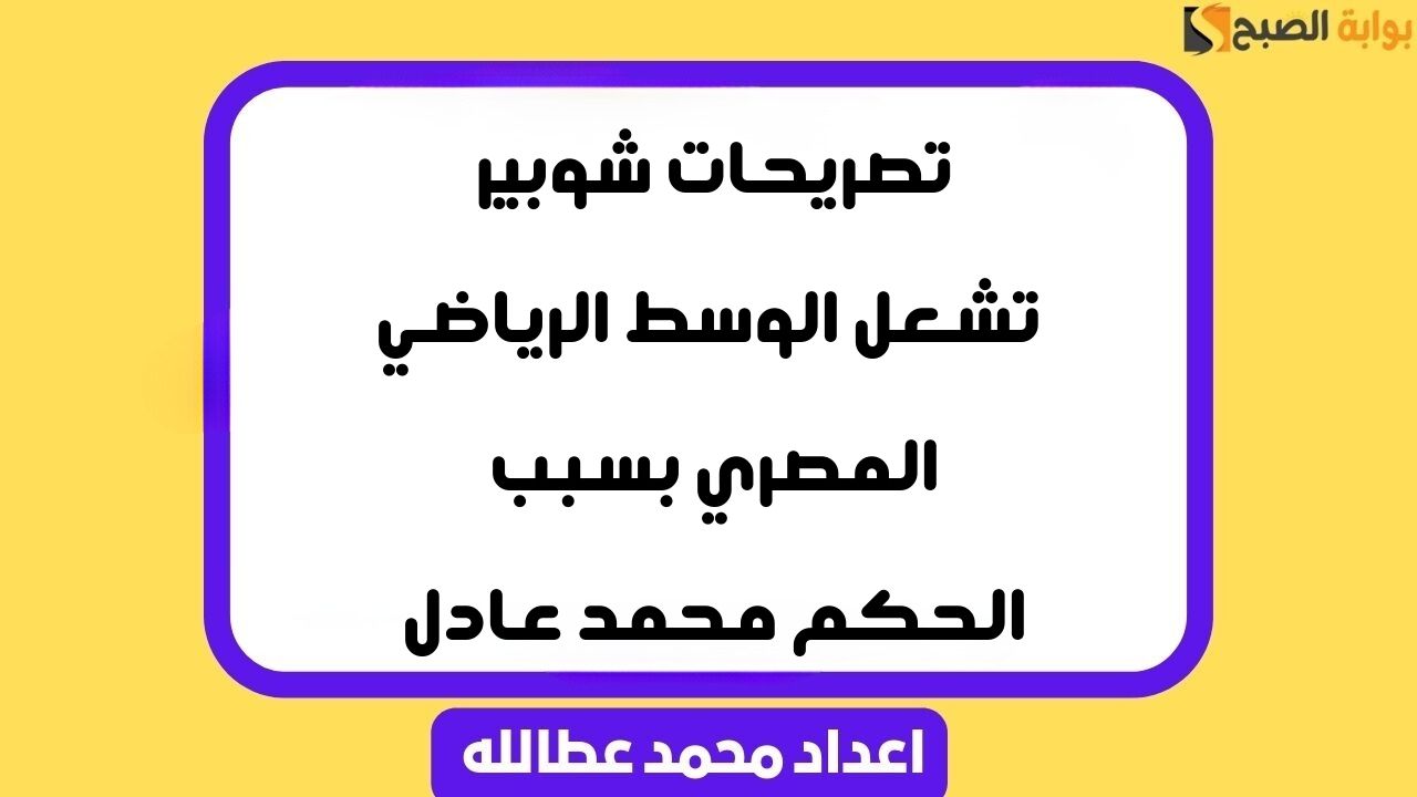 تصريحات شوبير