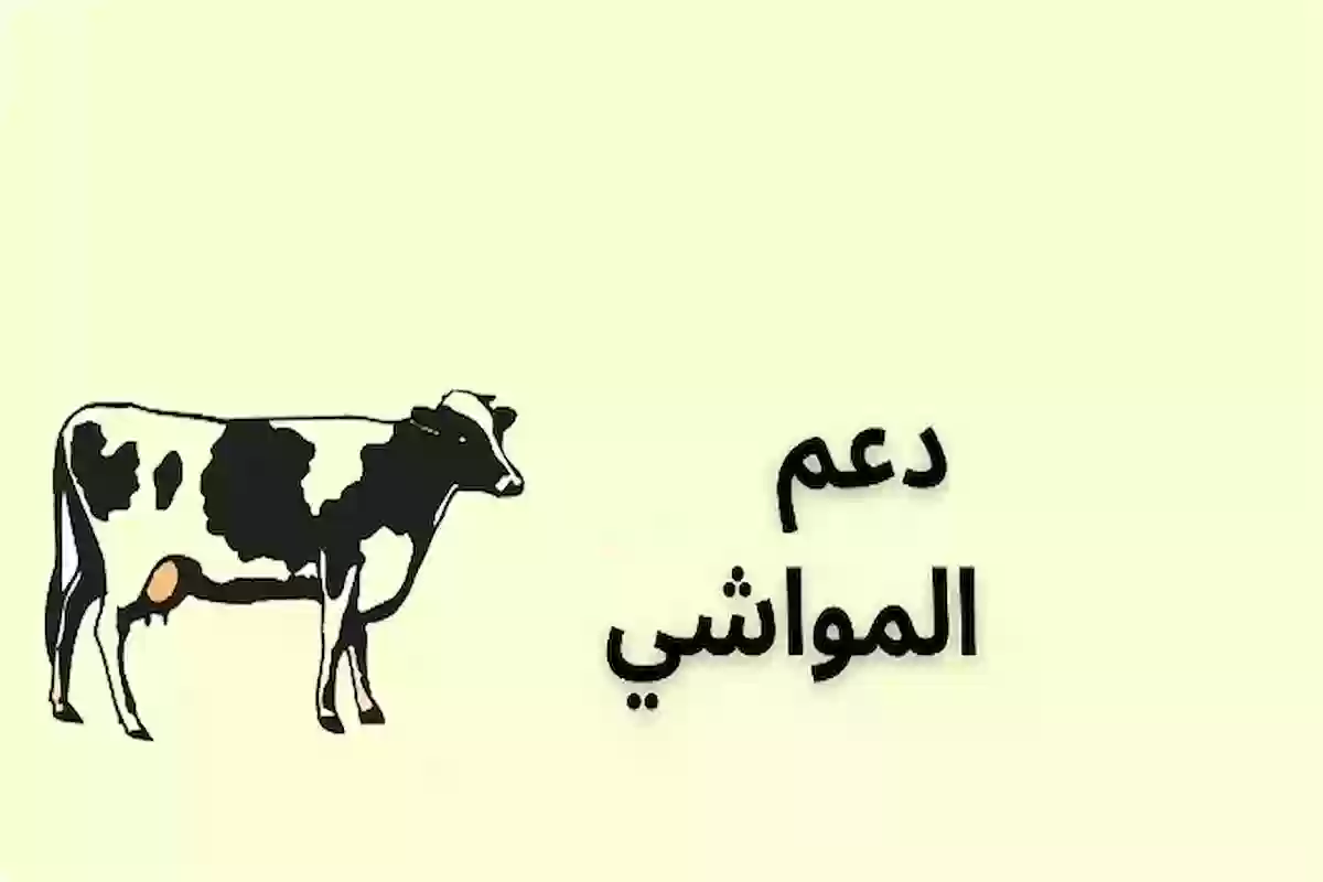 دعم المواشي لشهر نوفمبر 2024