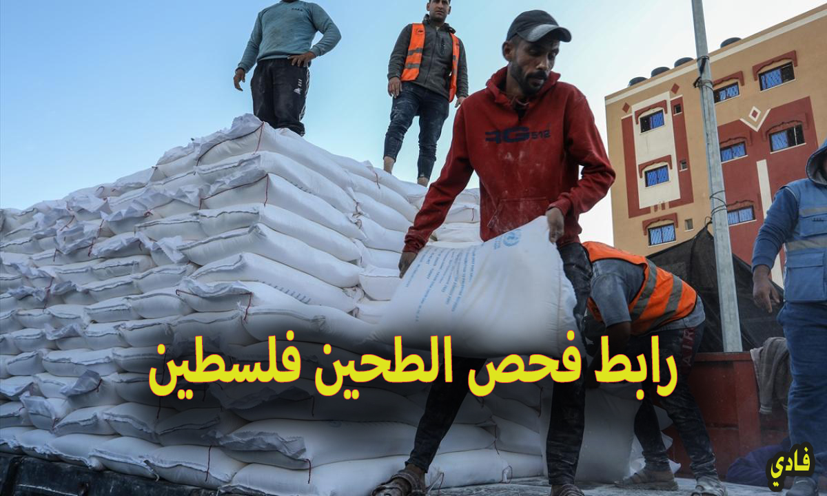 رابط فحص الطحين فلسطين 2024