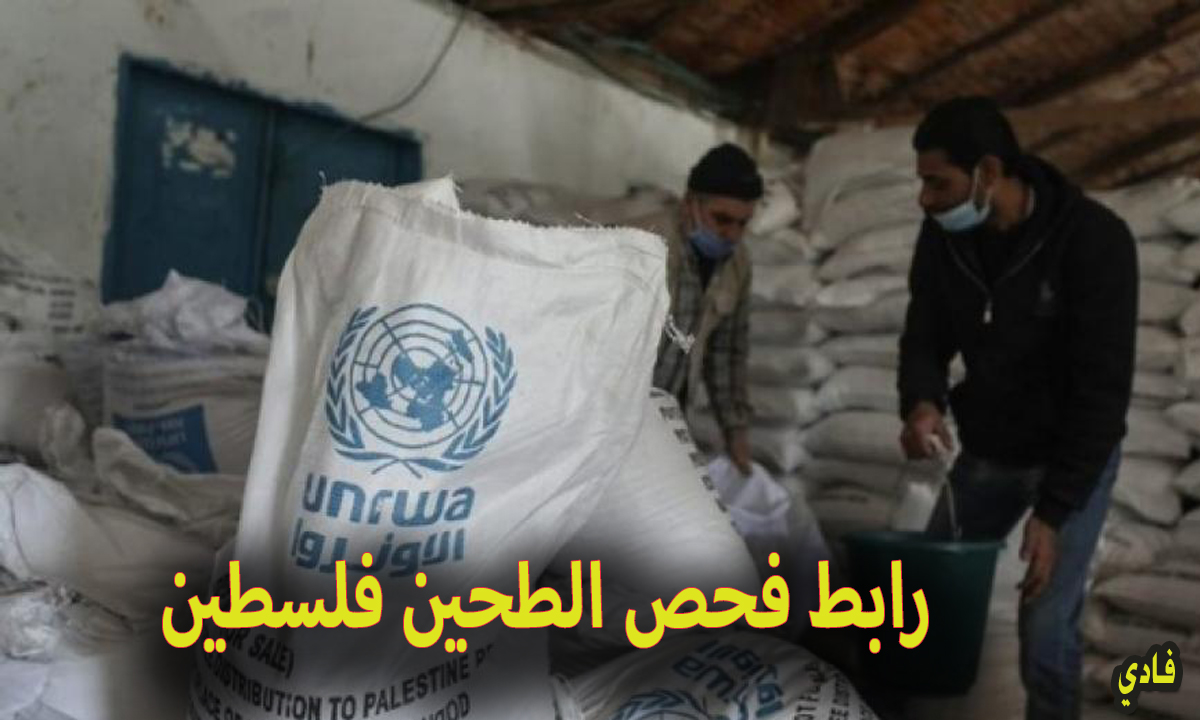رابط فحص الطحين فلسطين