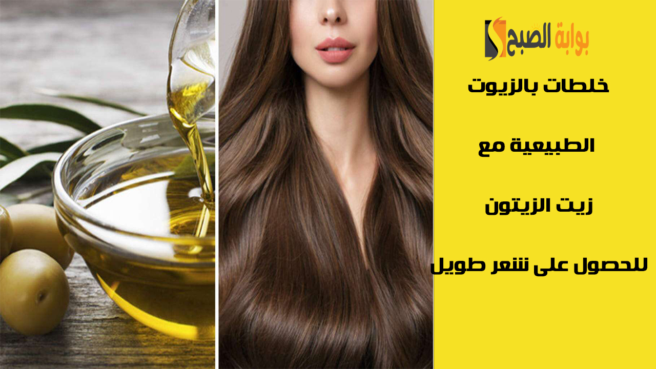 زيت الزيتون للشعر