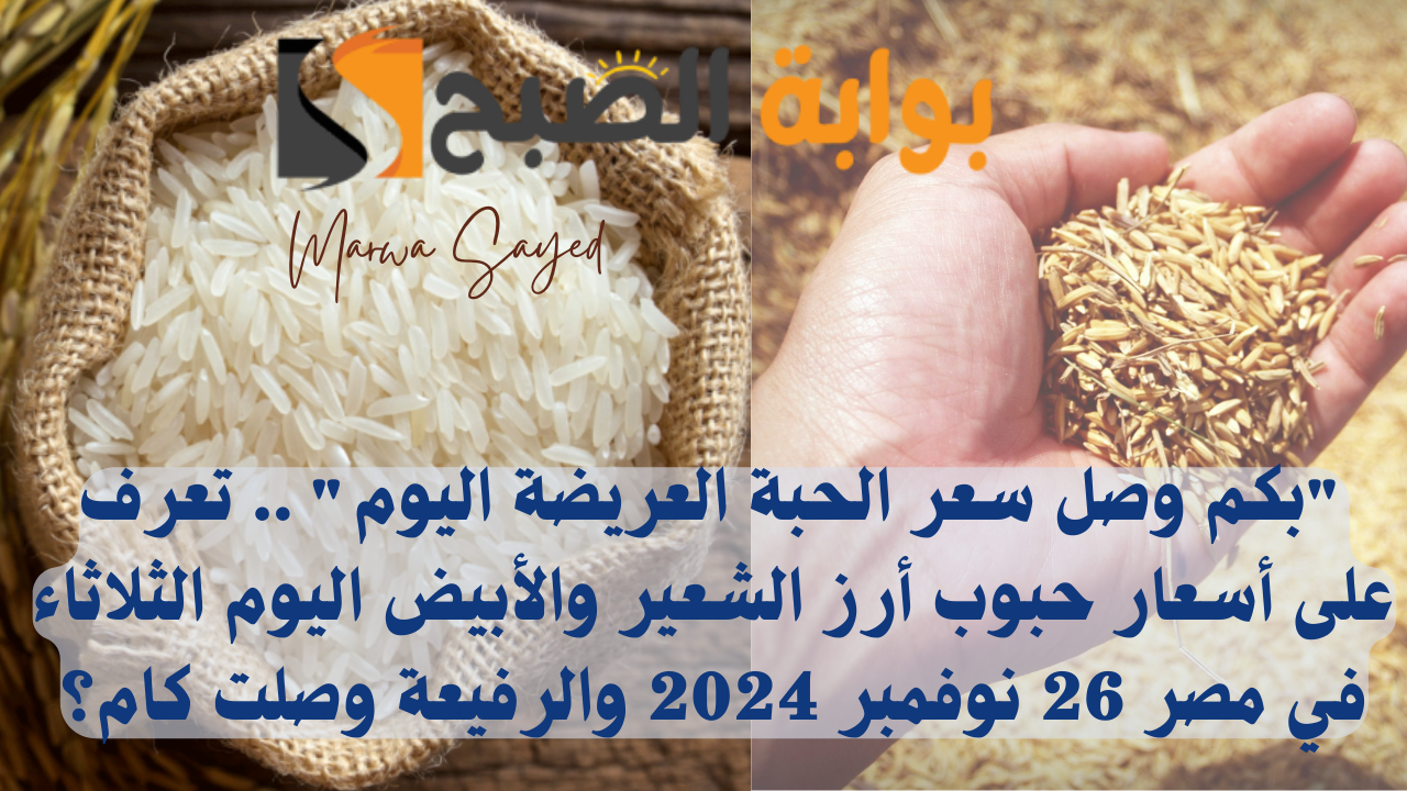 سعر أرز الشعير
