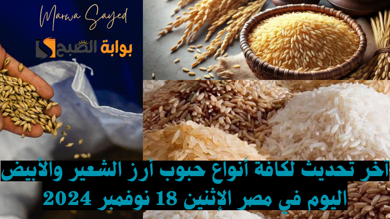 سعر أرز الشعير في مصر اليوم