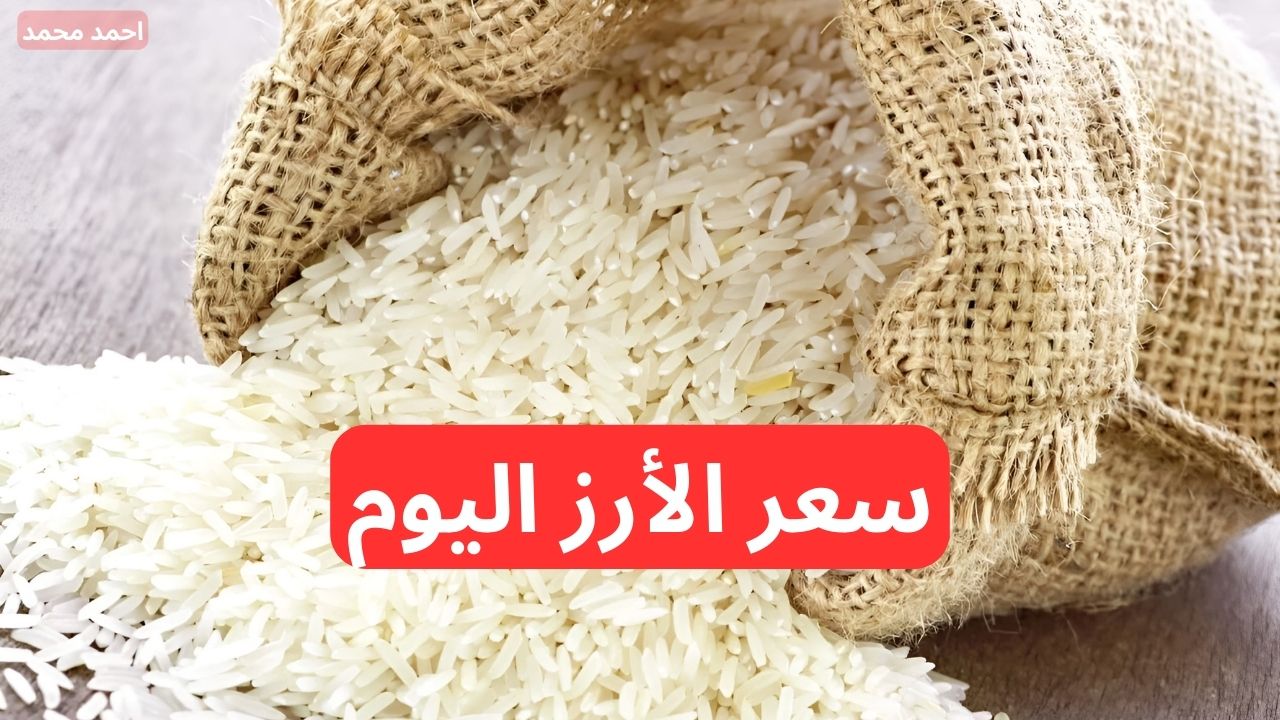 سعر الأرز الشعير الآن 2024.. كم سعر طن الأرز الشعير اليوم الجمعة 29-11-2024؟