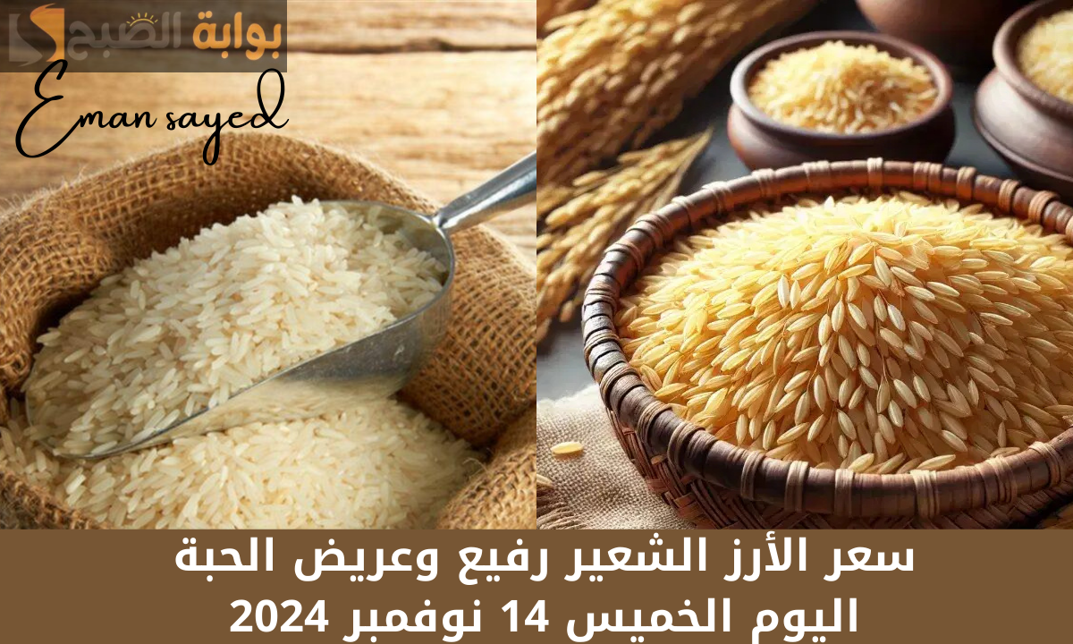سعر الأرز الشعير رفيع وعريض الحبة