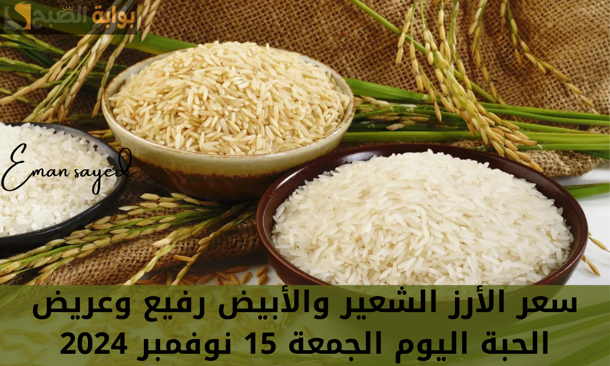 سعر طن الأرز الشعير اليوم
