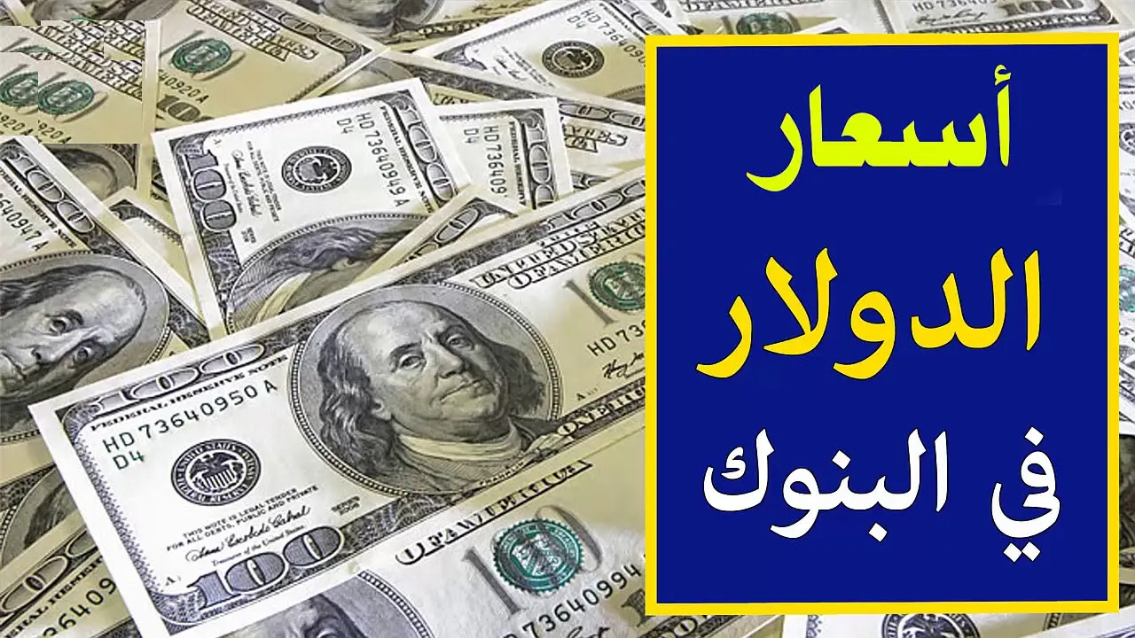 سعر الدولار مقابل الجنيه المصري اليوم بعد آخر انخفاض في البنوك