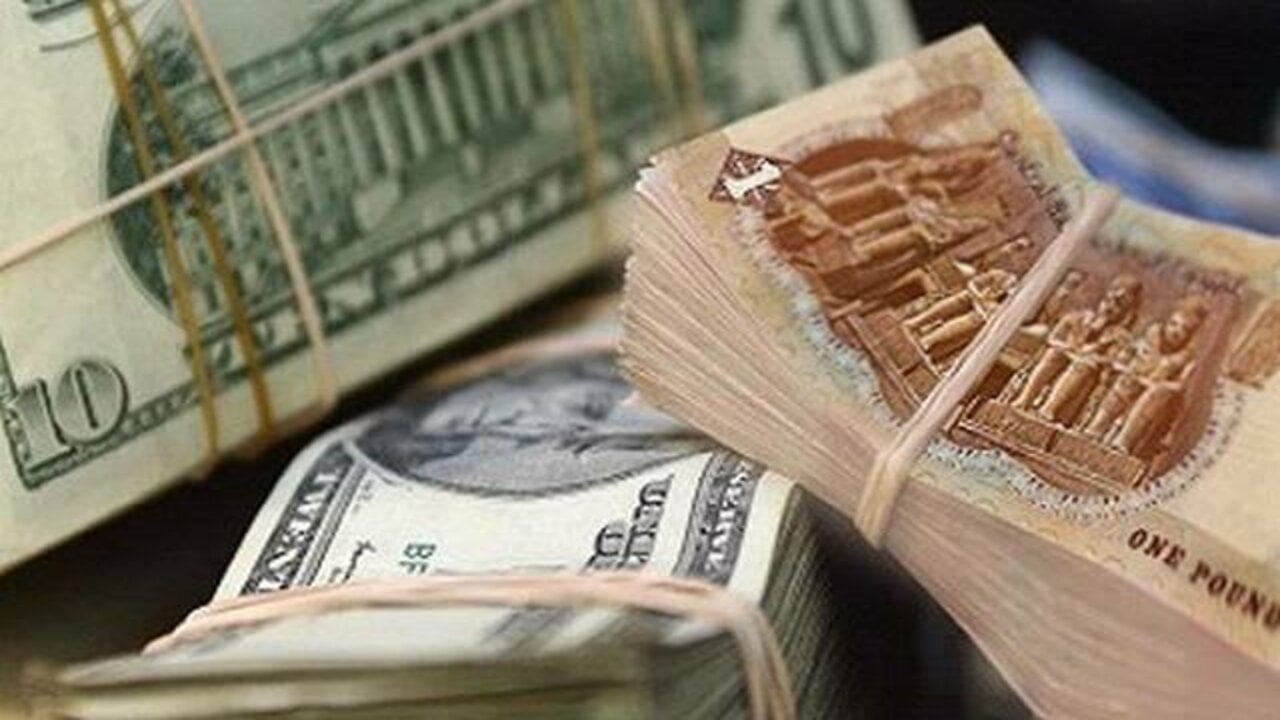 سعر الدولار مقابل الجنيه المصري