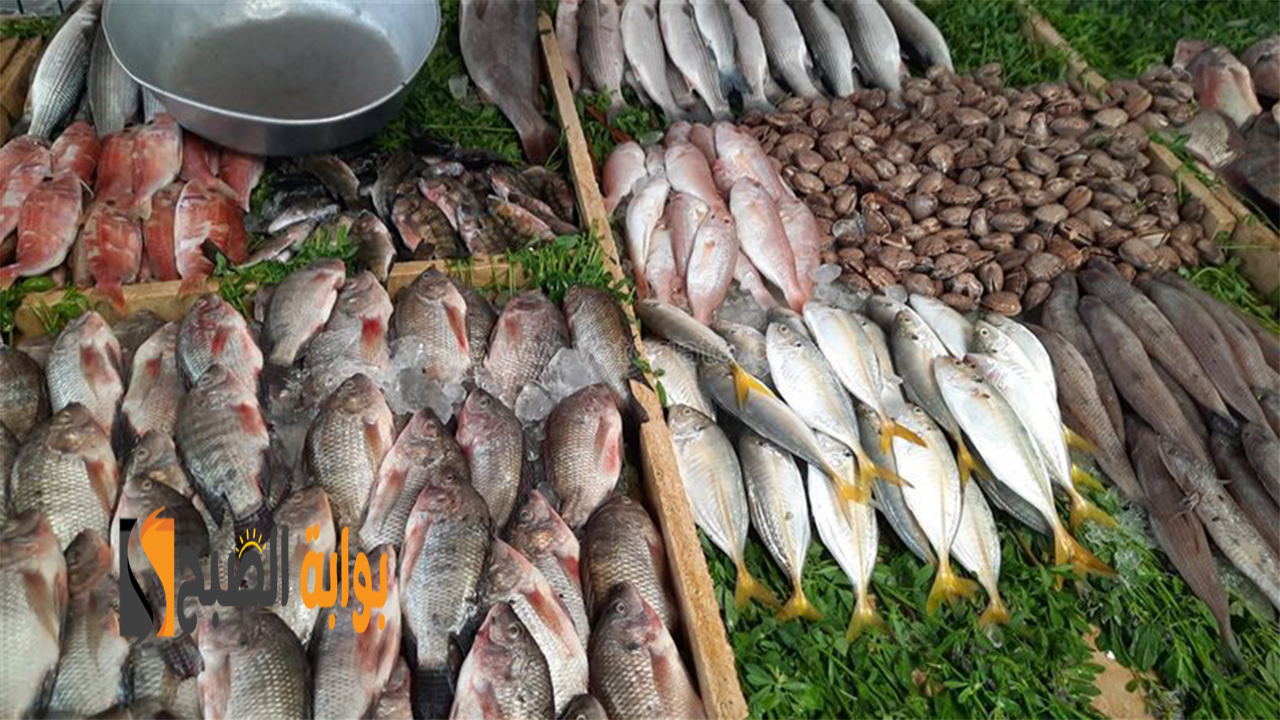 سعر السمك اليوم
