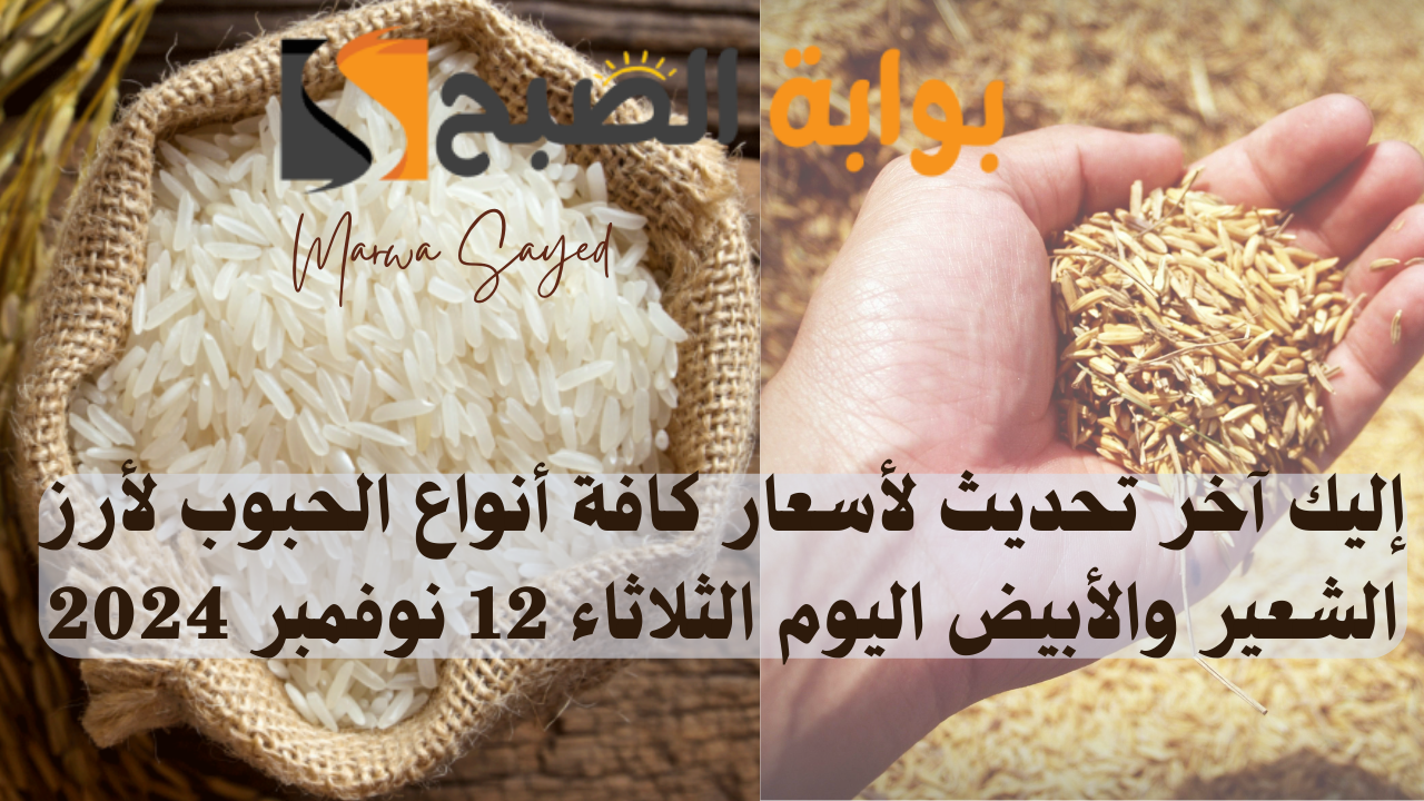 سعر طن أرز الشعير اليوم في مصر
