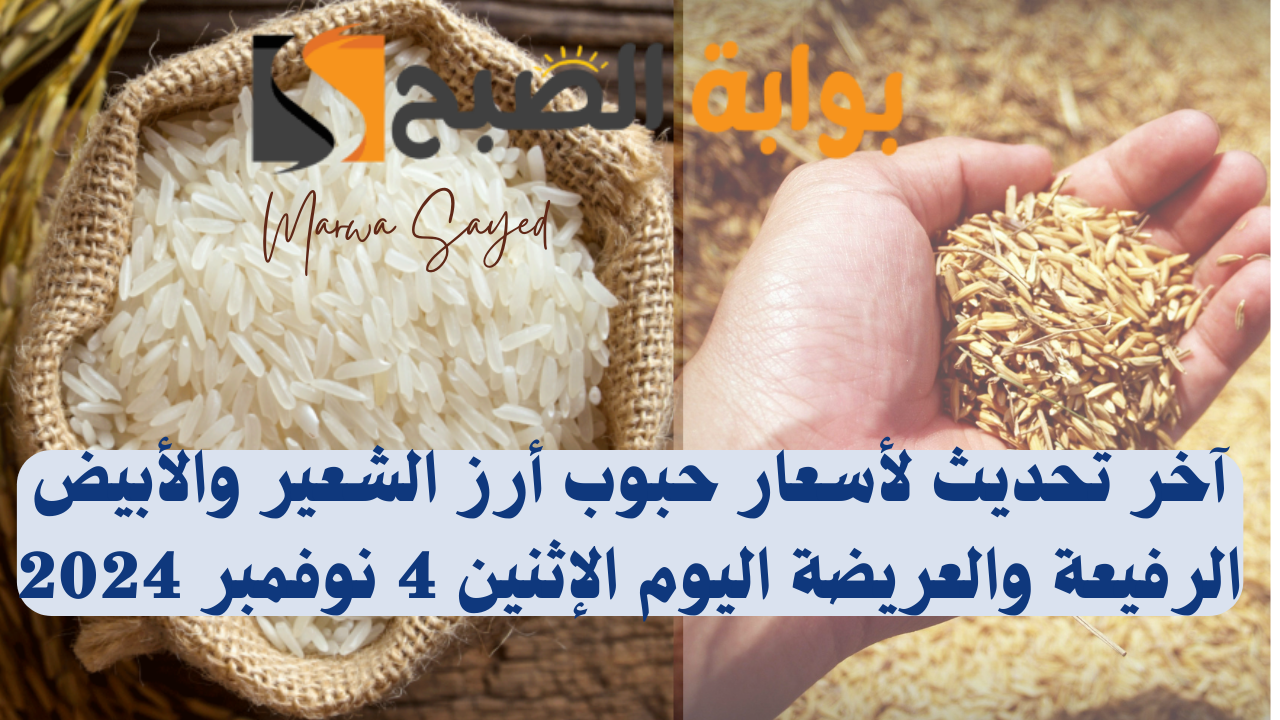 سعر طن أرز الشعير اليوم في مصر