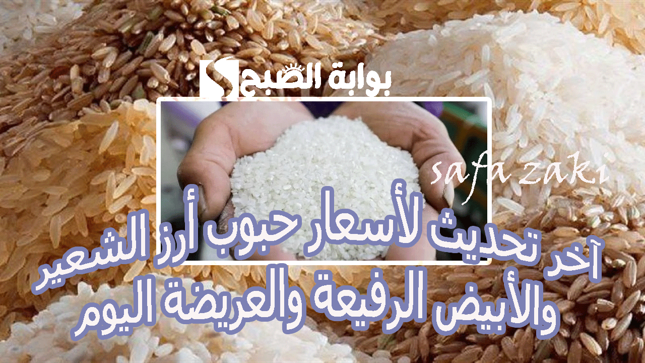 سعر طن الأرز الشعير اليوم