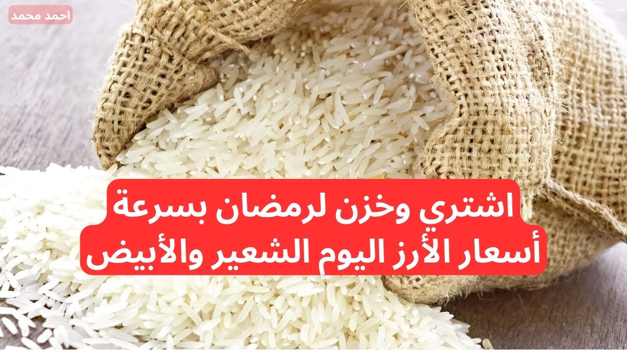 سعر طن الأرز الشعير اليوم السبت 29-11-2024.. أسعار الأرز الشعير اليوم