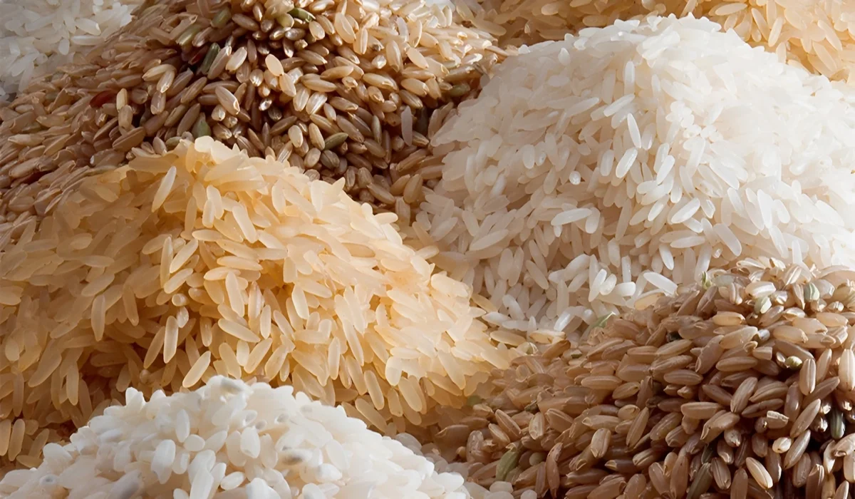 سعر طن الأرز الشعير اليوم السبت