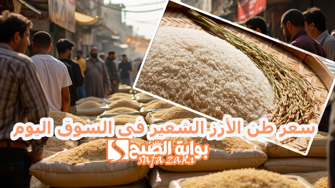 سعر طن الأرز الشعير فى السوق اليوم