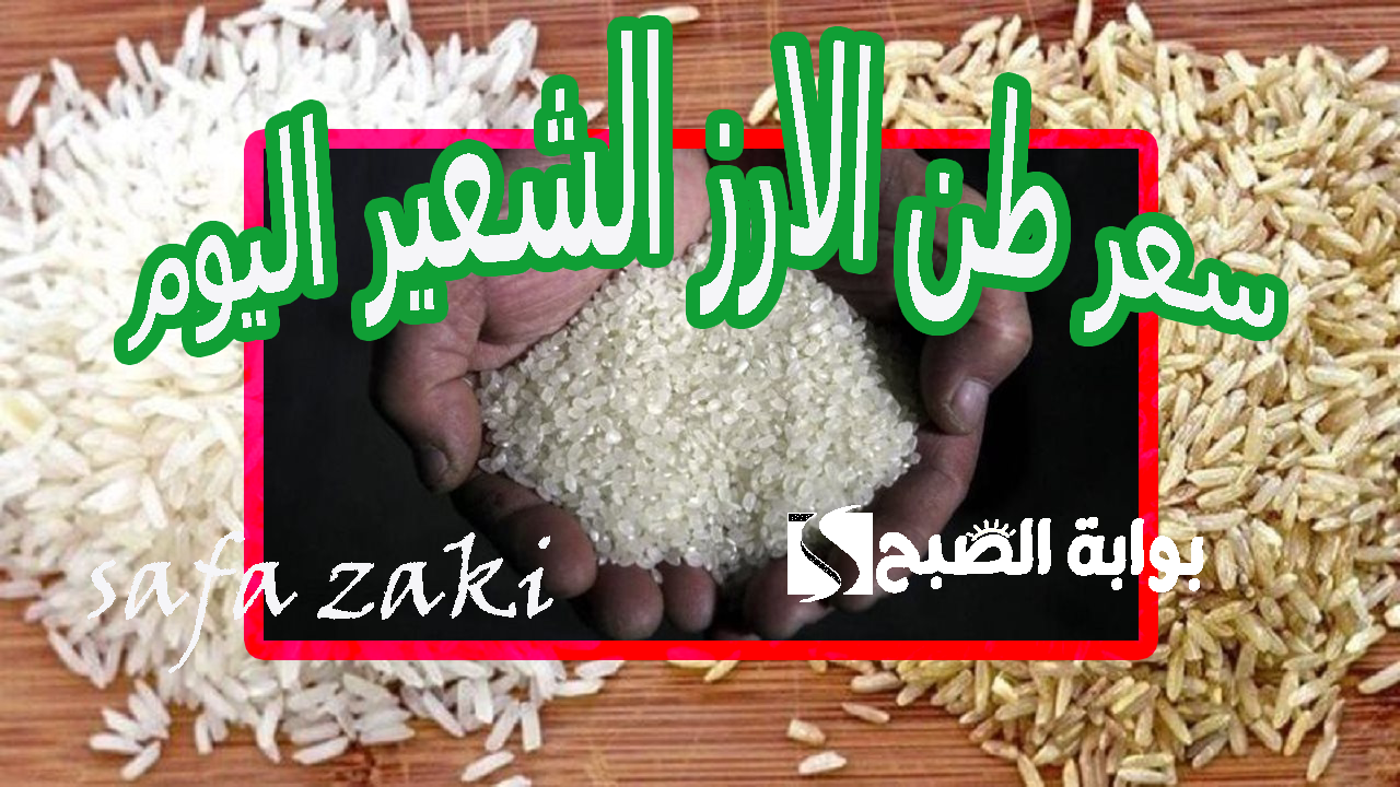 سعر طن الارز الشعير اليوم