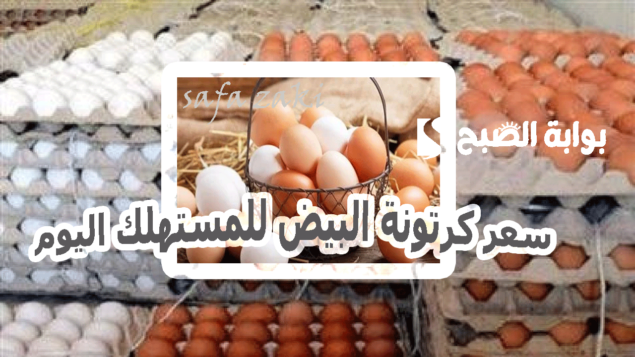 سعر كرتونة البيض للمستهلك اليوم