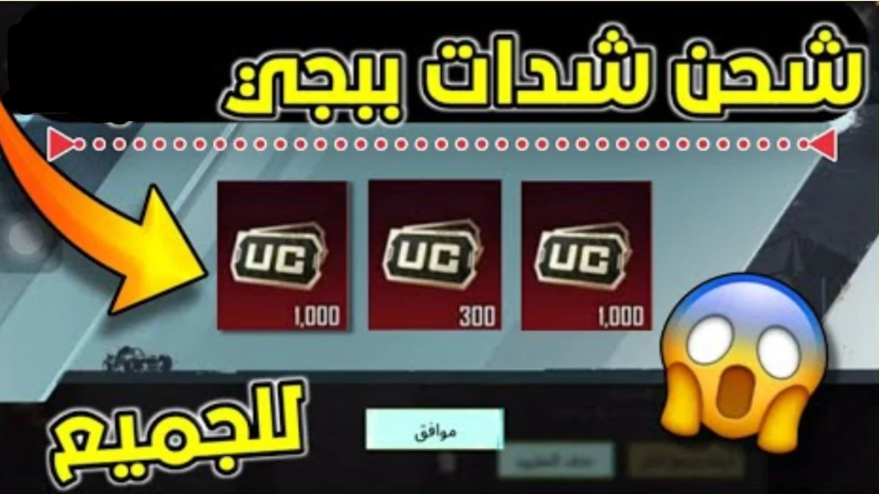 شحن شدات ببجي