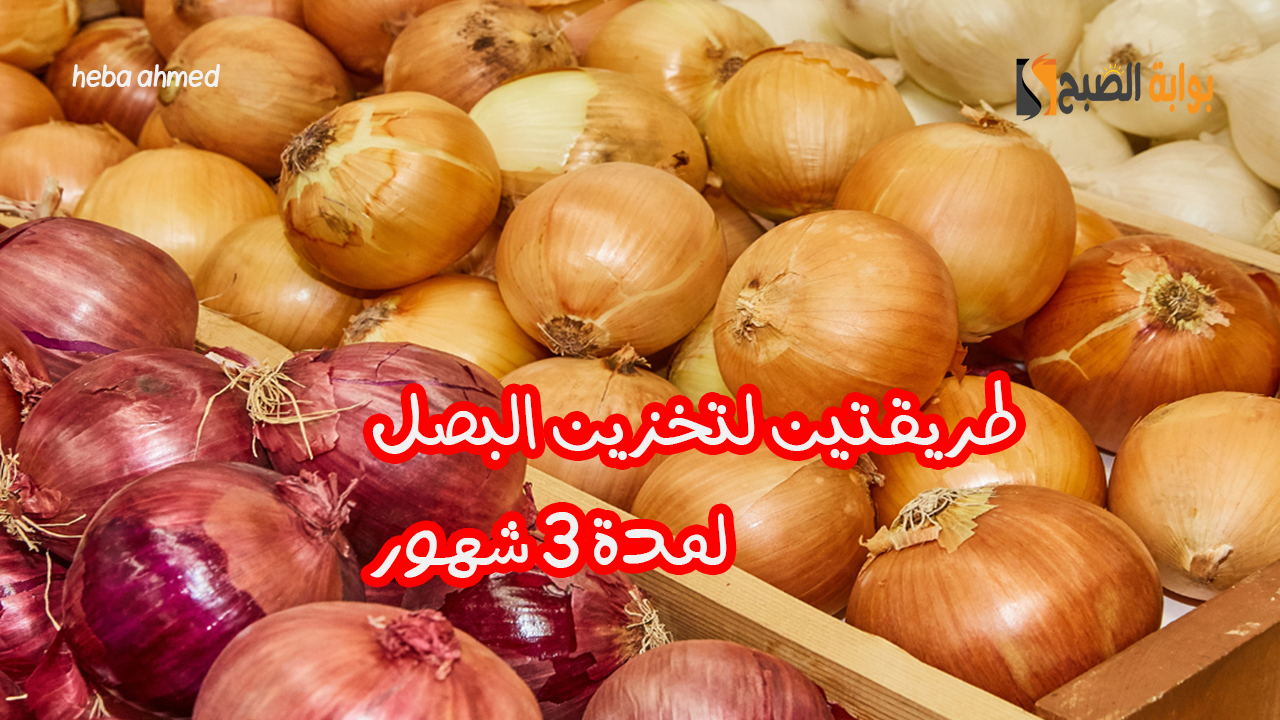 طريقة تخزين البصل