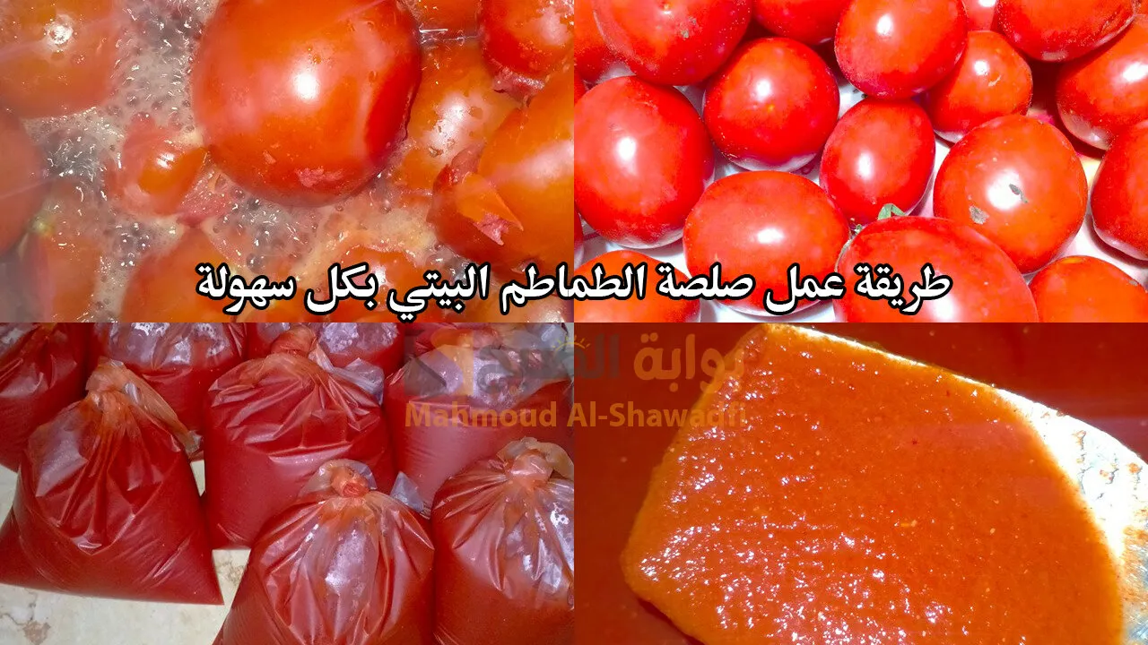 طريقة عمل صلصة الطماطم البيتي بكل سهولة في المنزل.. أحلى وأوفر من الجاهزة