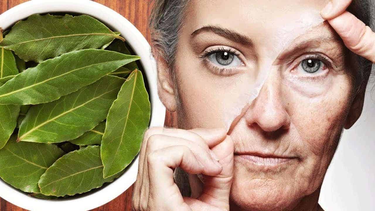 قناع ورق الغار والنشا لنضارة البشرة