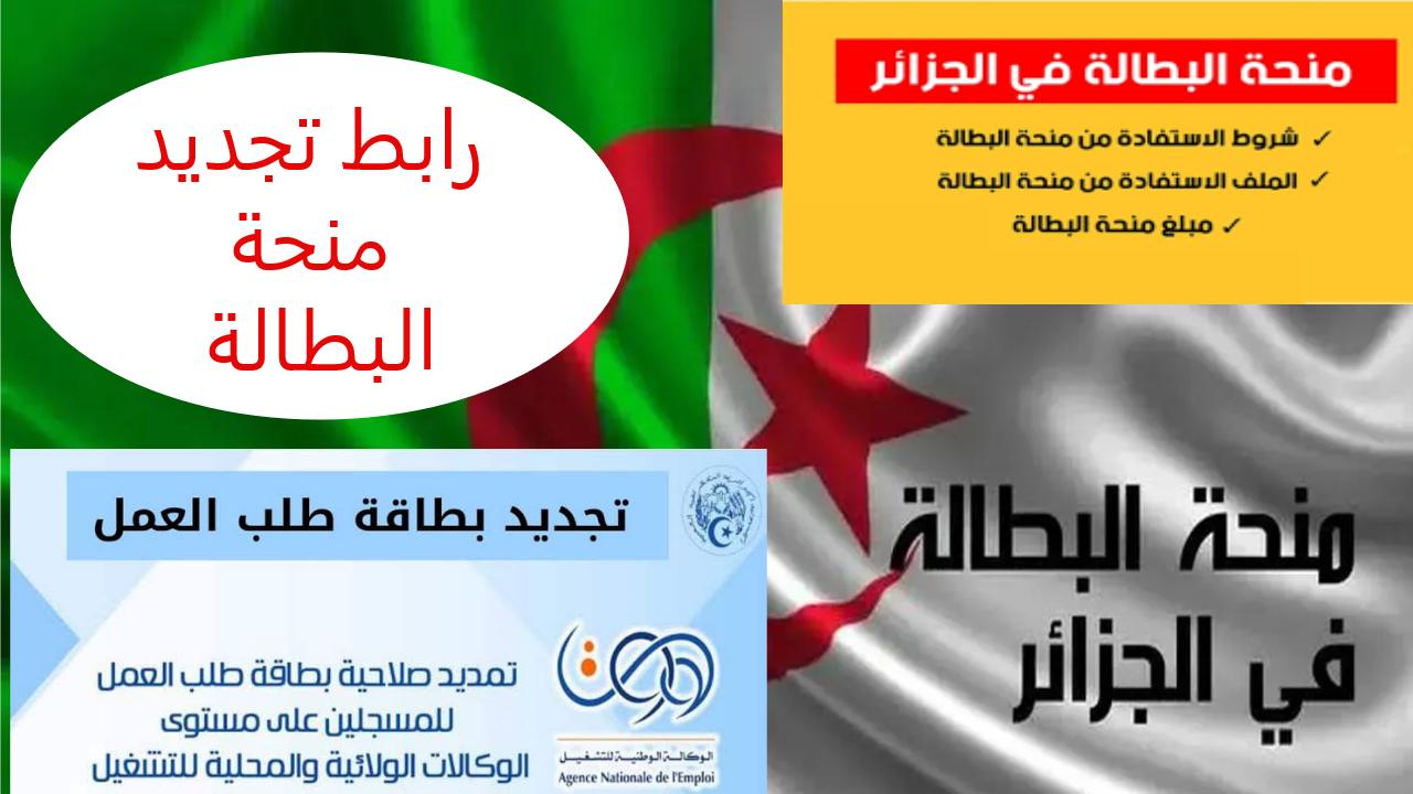 منحة البطالة في الجزائر 2024