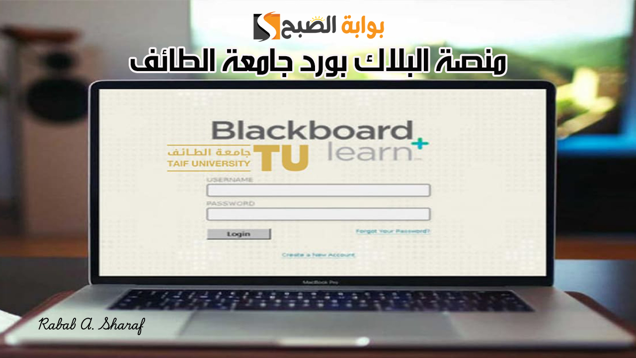 منصة البلاك بورد جامعة الطائف