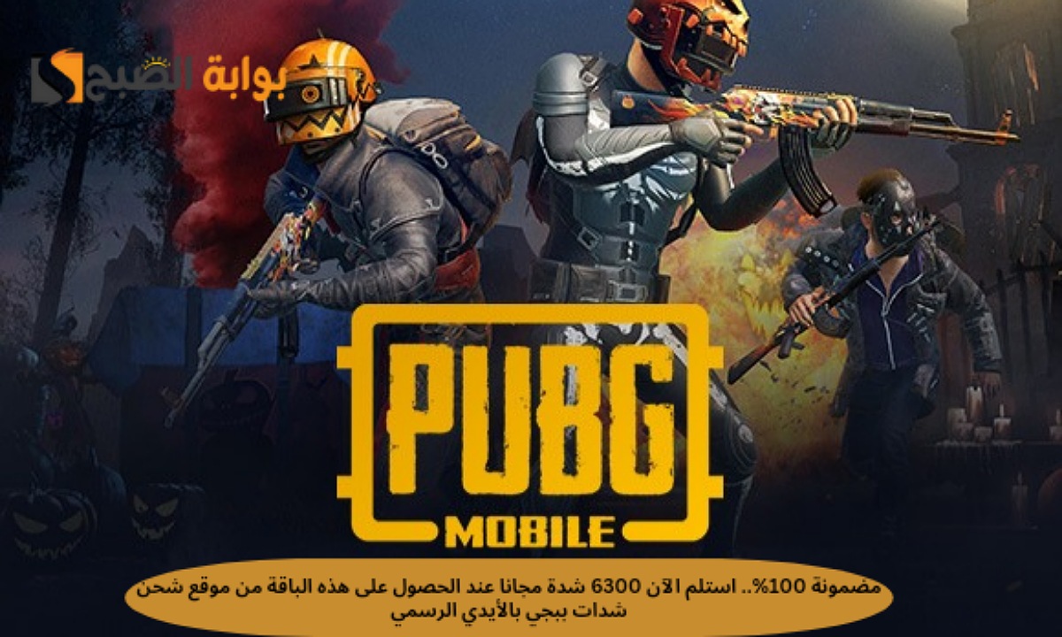 موقع شحن شدات ببجي بالايدي