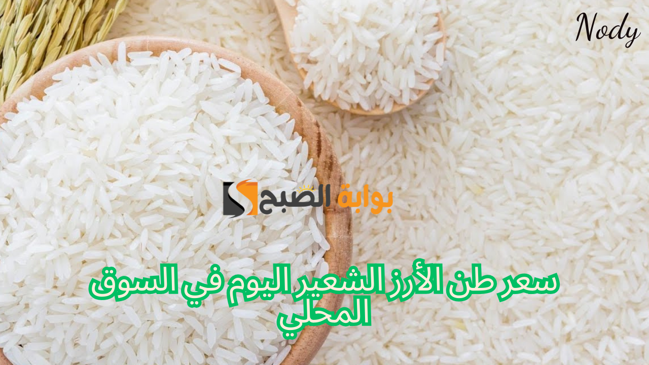 سعر طن الأرز الشعير اليوم في مصر