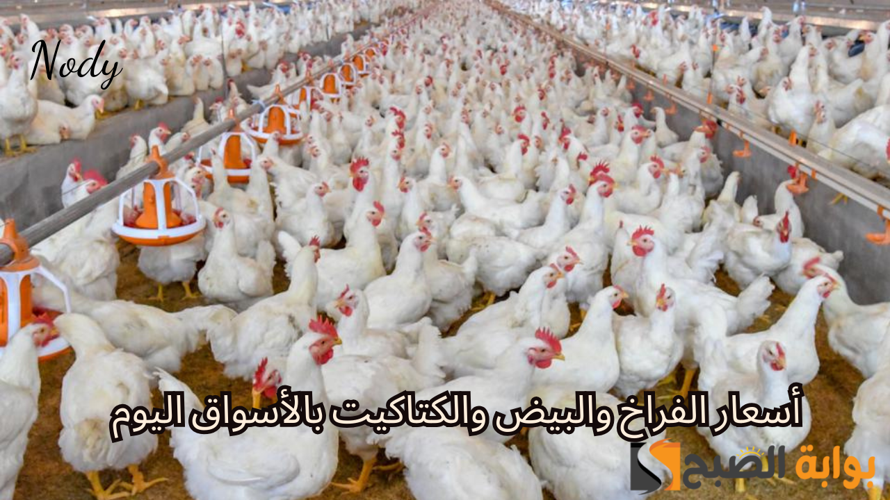 أسعار الفراخ اليوم