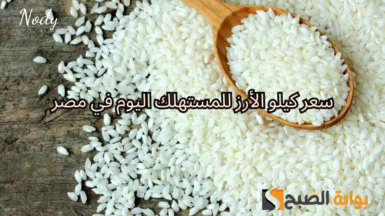 سعر كيلو الأرز للمستهلك اليوم في مصر