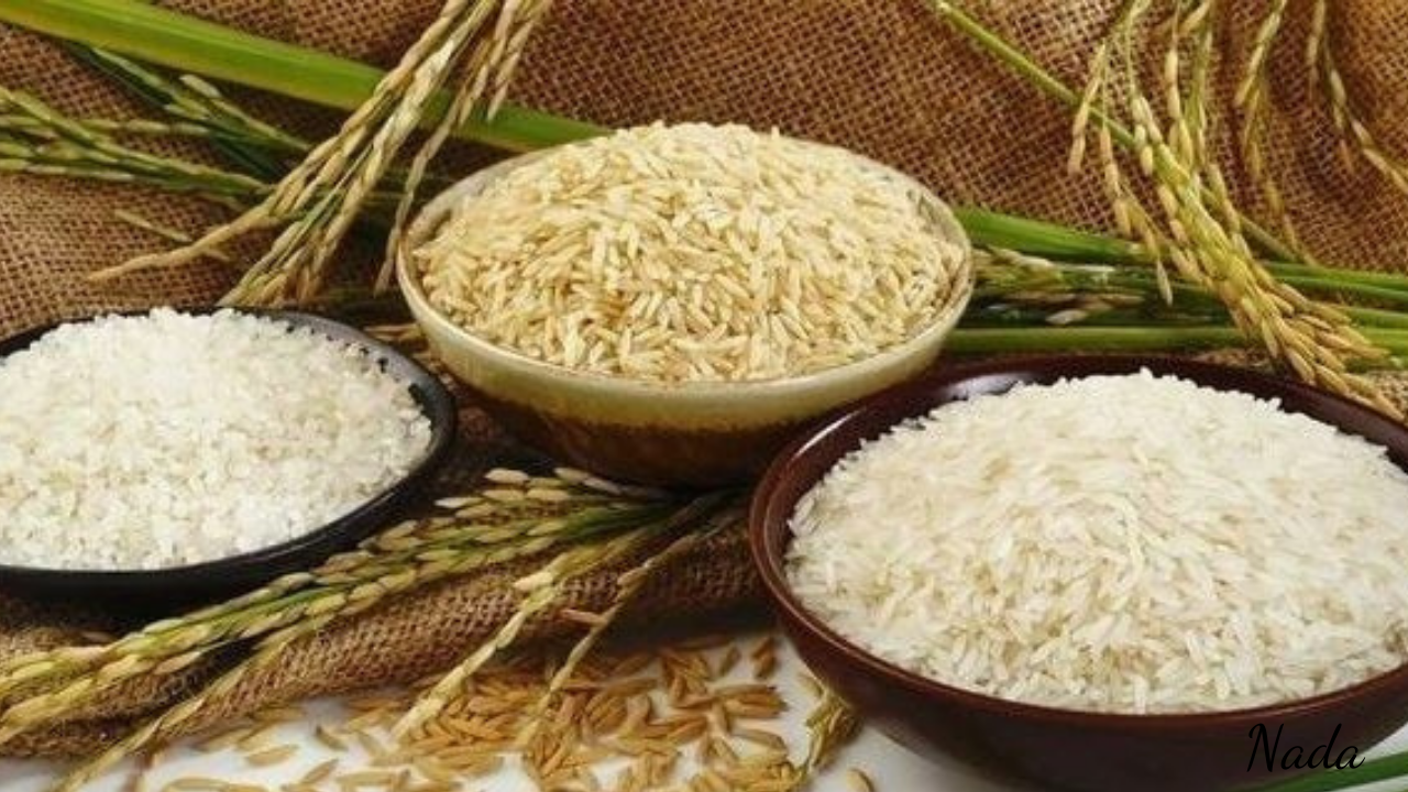أسعار الأرز اليوم الثلاثاء 19 نوفمبر 2024