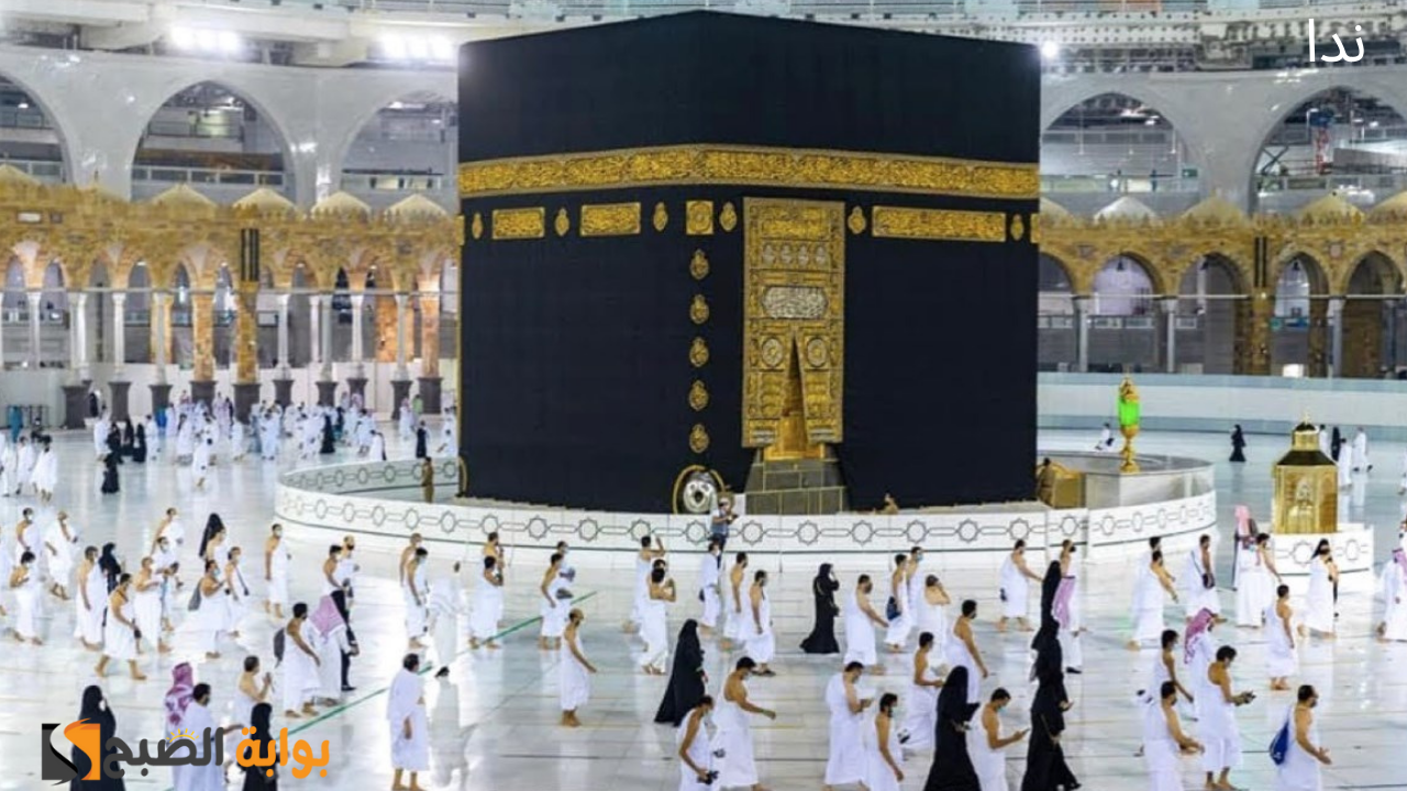 رابط الاستعلام عن نتيجة قرعة الحج 2025 بمصر
