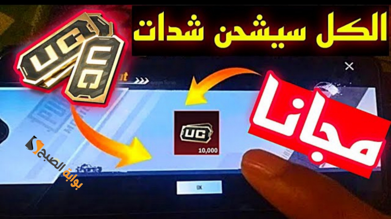 ٢٠٢٤١١٠٩ ٢١٣٦١١