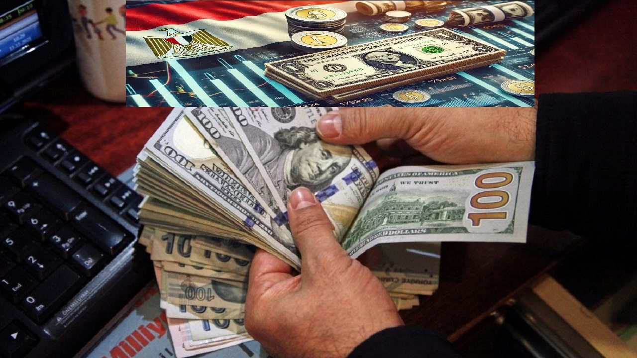 كام سعر الدولار مقابل الجنيه المصري اليوم