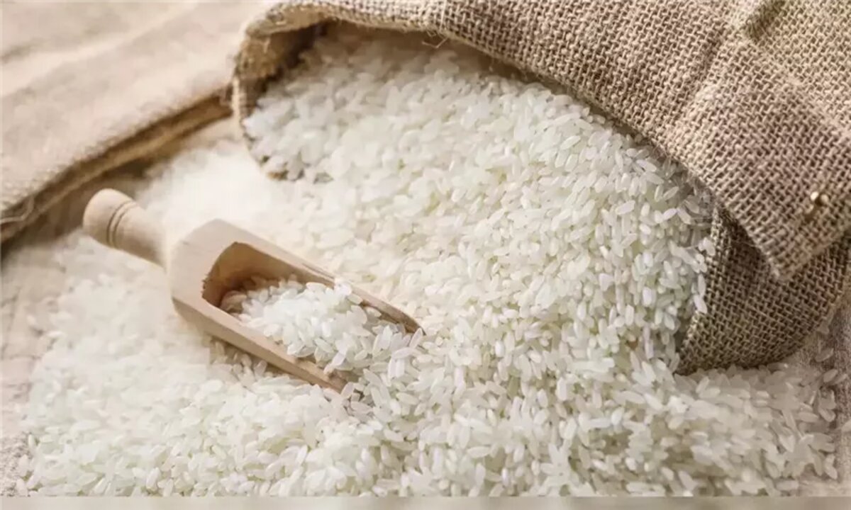 سعر طن الأرز الشعير اليوم