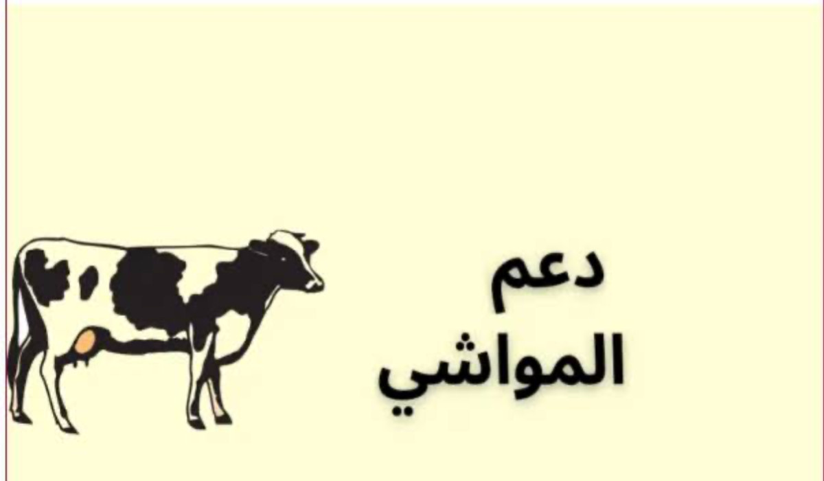 استعلم الآن عن دعم المواشي عبر نما