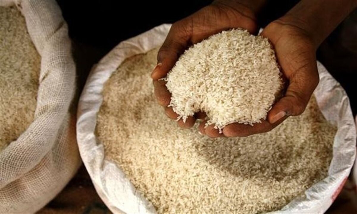 سعر طن الأرز الشعير اليوم