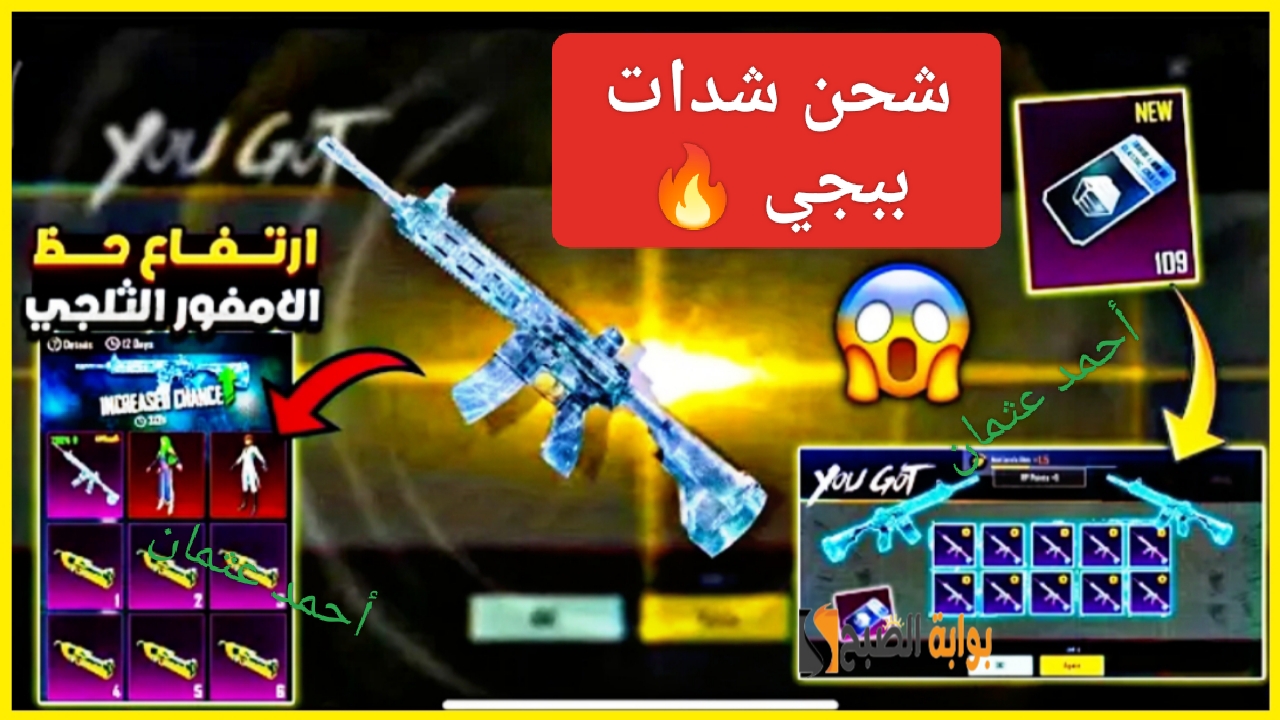 IMG ٢٠٢٤١٢٠١ ٢١٣٥٠١