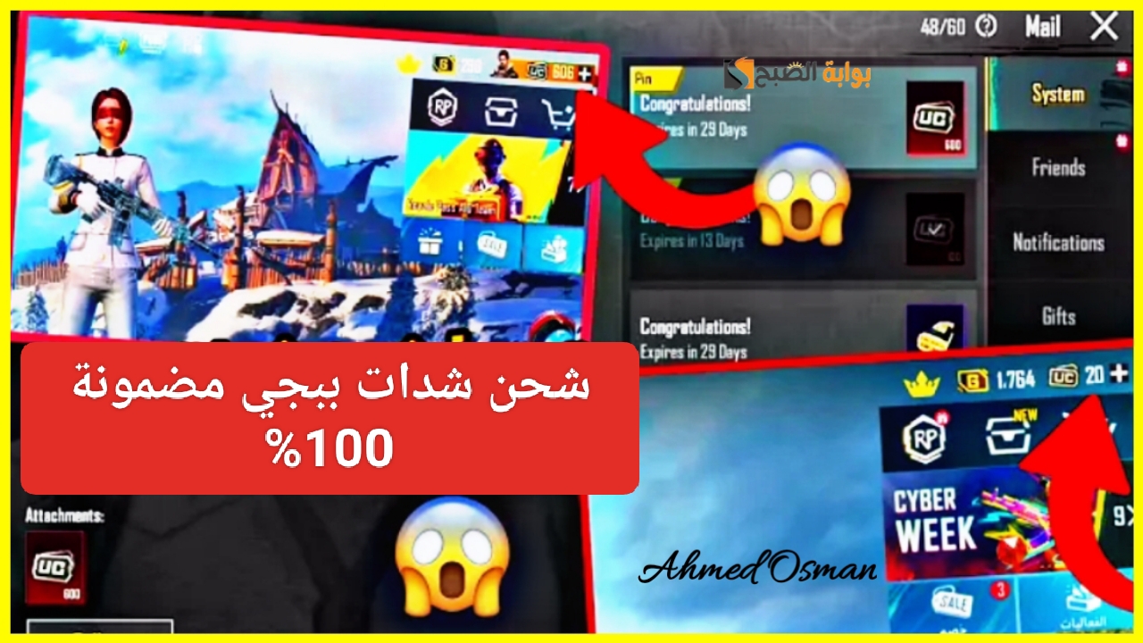 IMG ٢٠٢٤١٢١٠ ٢١٥٠٠٠